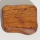 Empty cut pocket in vintage olive tree