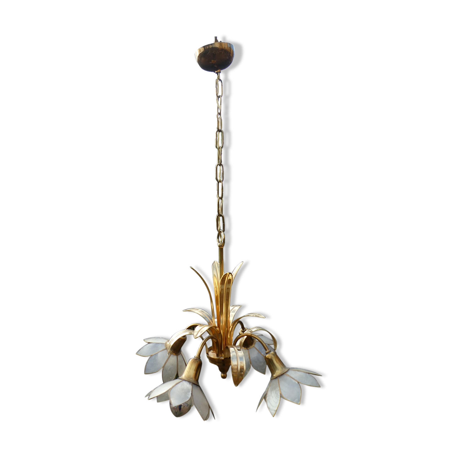 Brass chandelier and flowers in mother-of-pearl petals