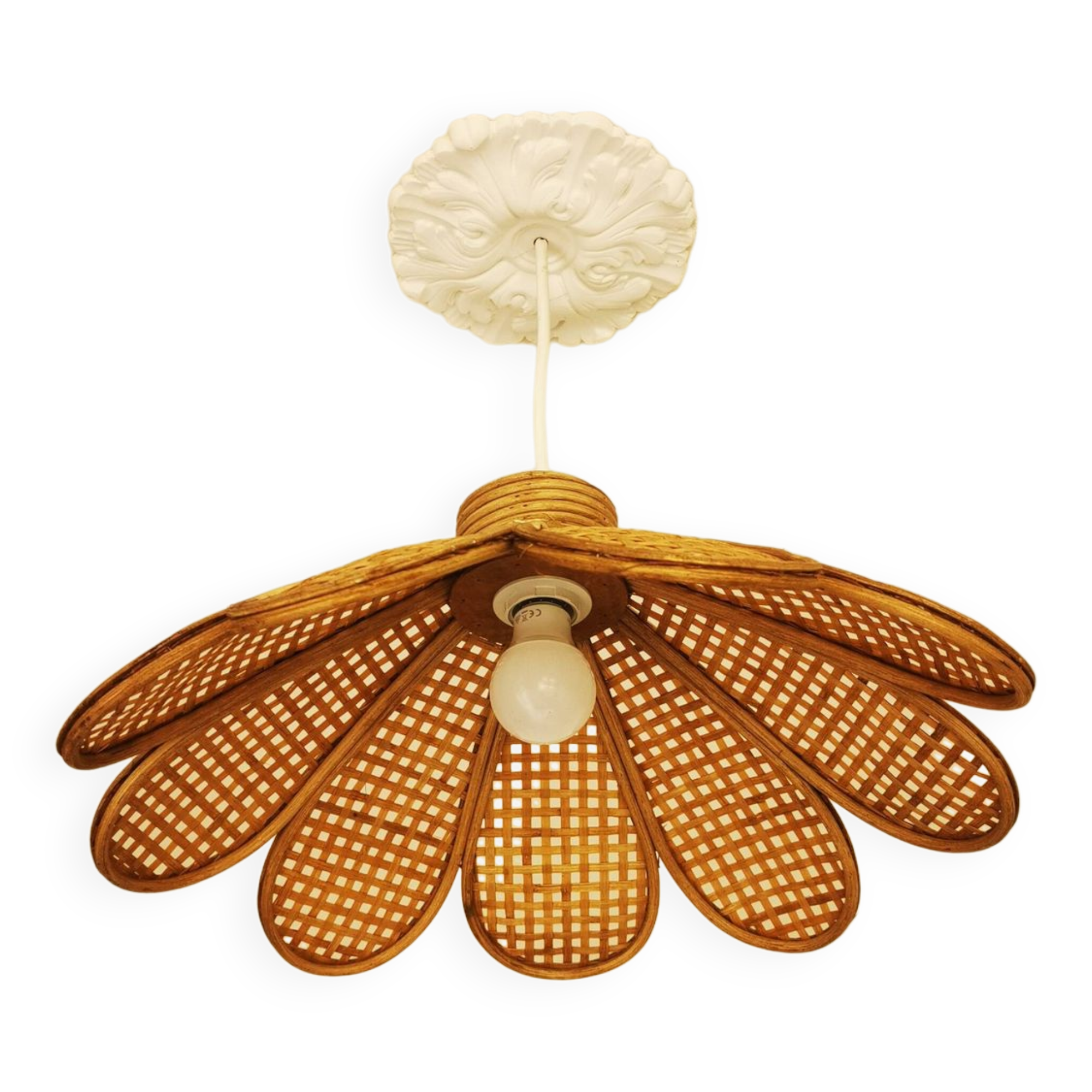 Bamboo rattan suspension and canning