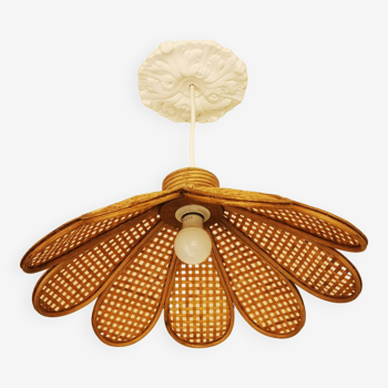 Bamboo rattan suspension and canning