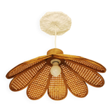 Bamboo rattan suspension and canning