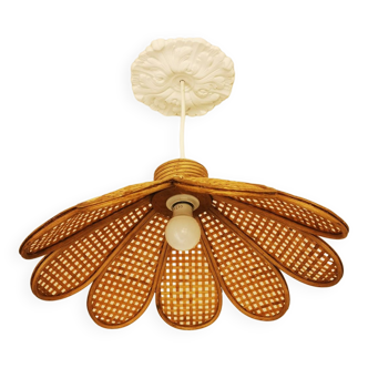Bamboo rattan suspension and canning