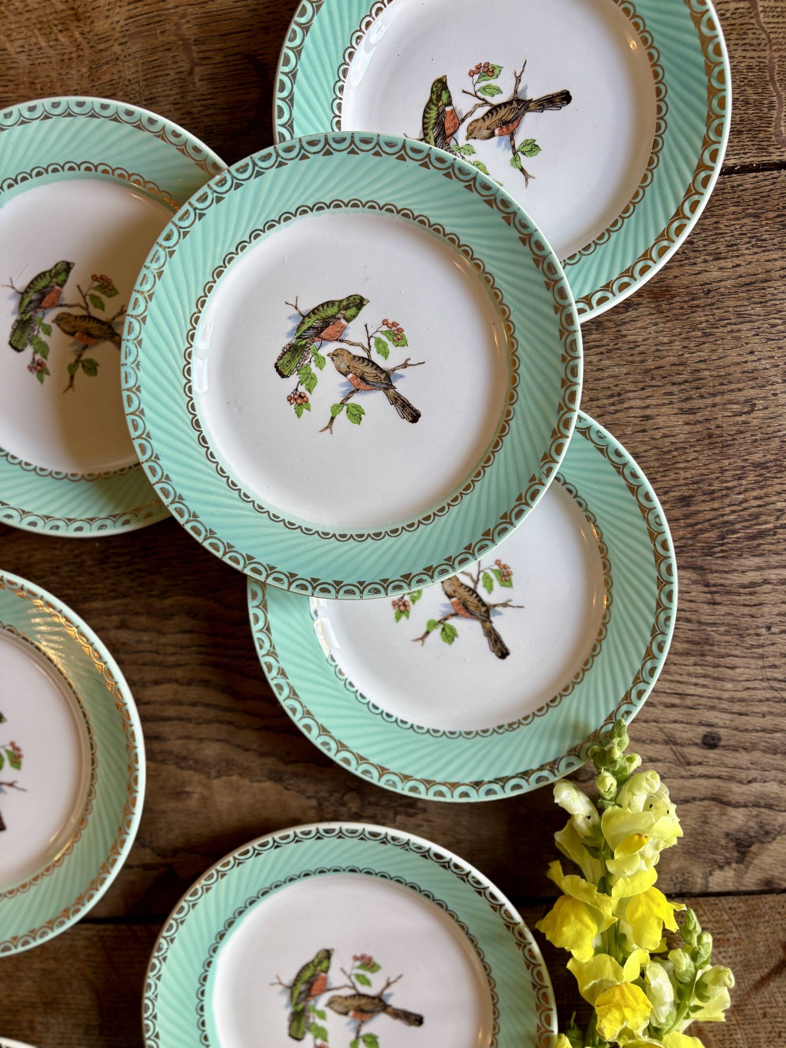 Lot de 8 assiettes à dessert vintage décors d'oiseaux