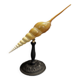 Cabinet of Curiosities shell tibia fusus on base