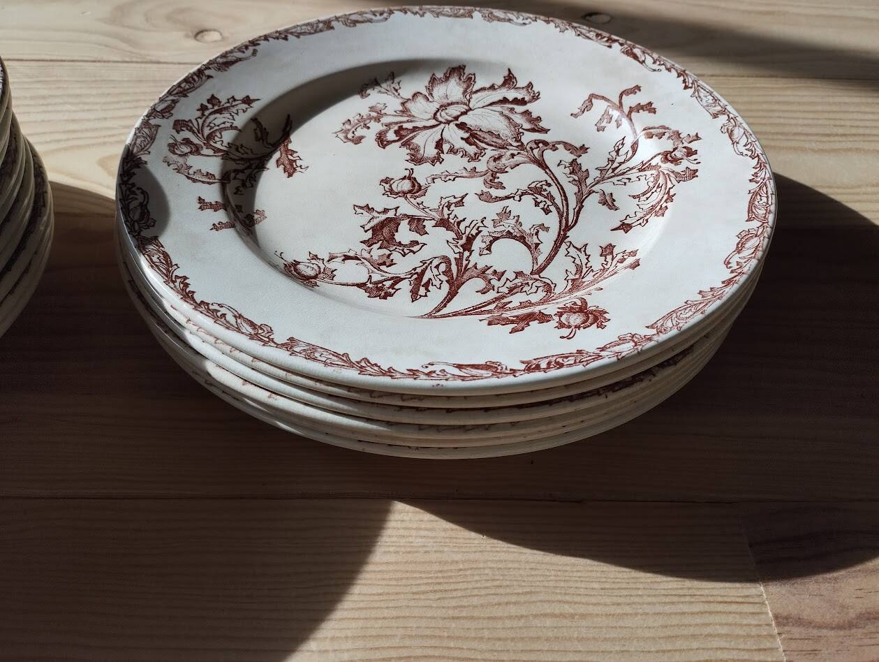 Datura plates iron earth