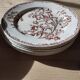 Datura plates iron earth