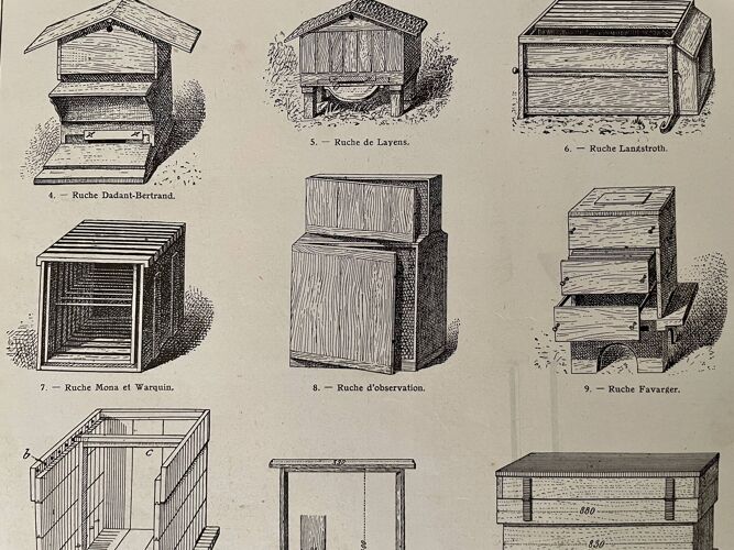 Lot de 2 lithographies sur la ruche et l'apiculture de 1921