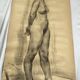Large drawing of a nude woman signed around the 1940s dimension: height -150cm- width -80cm-