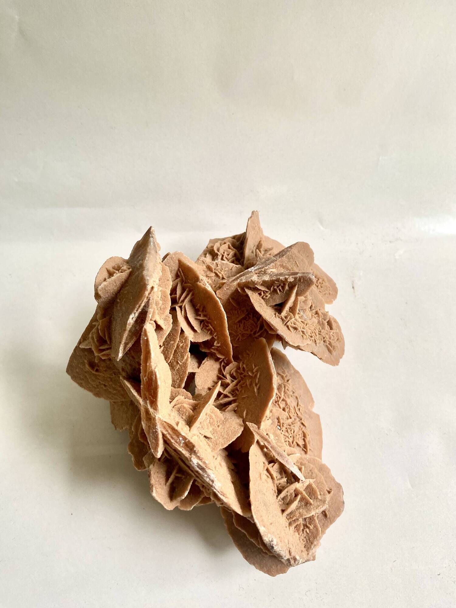 Sand rose 23 cm