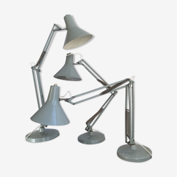 Three articulated lamps on Luxo base