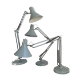 Three articulated lamps on Luxo base