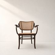 Fauteuil par Gustav Adolf Schneck pour Thonet