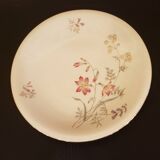 12 dessert plates Schumann Arzberg plates
