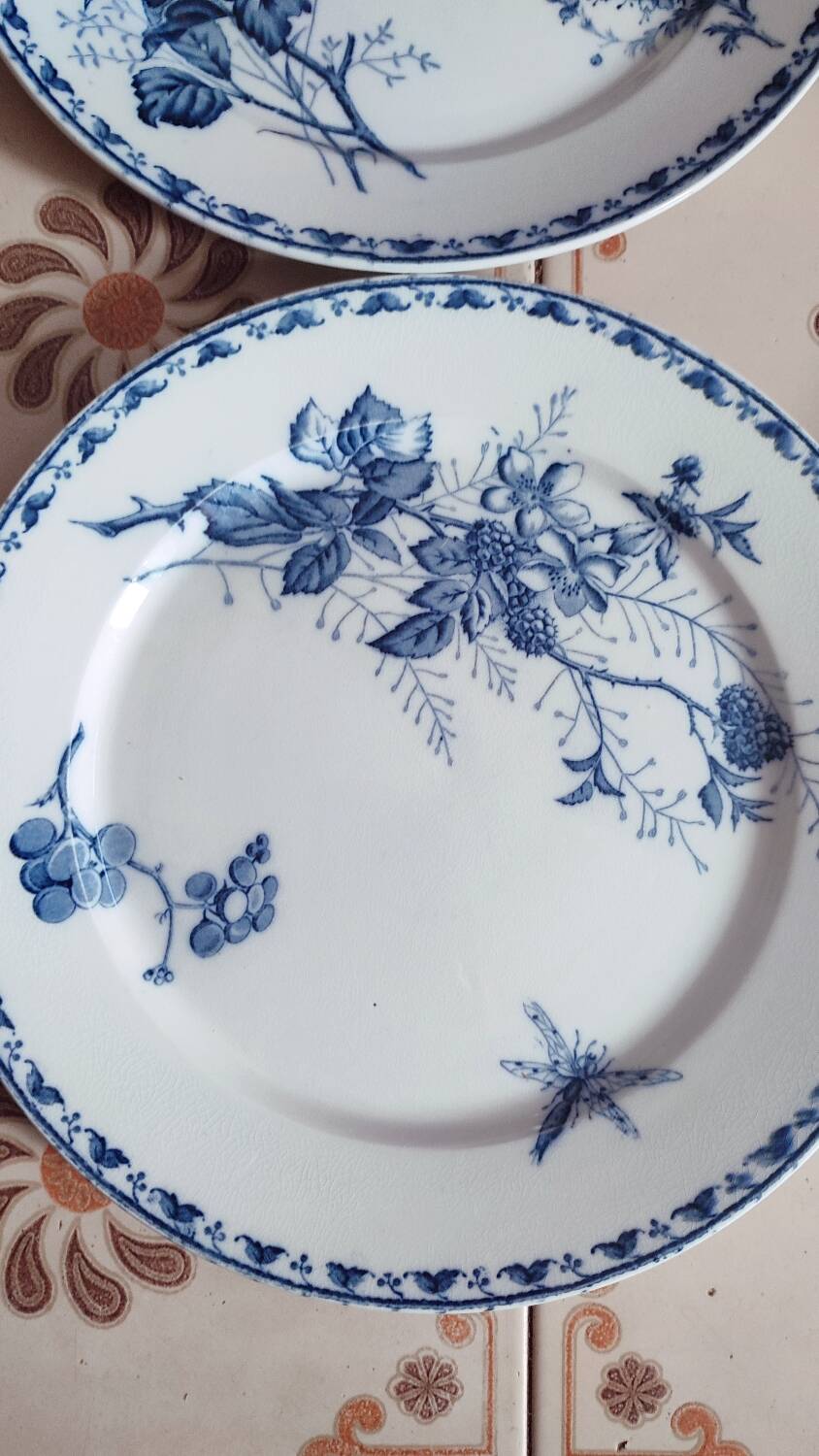 5 Carmen dinner plates by UetC Sarreguemines