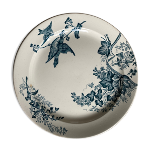 plat rond en Terre de