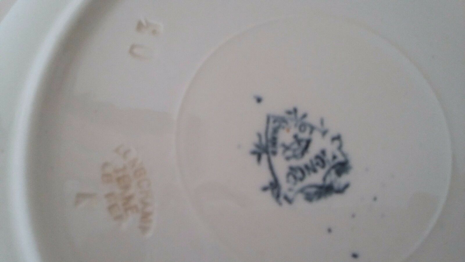 Plate Longchamp Earth model railway scenery ostriches Congo