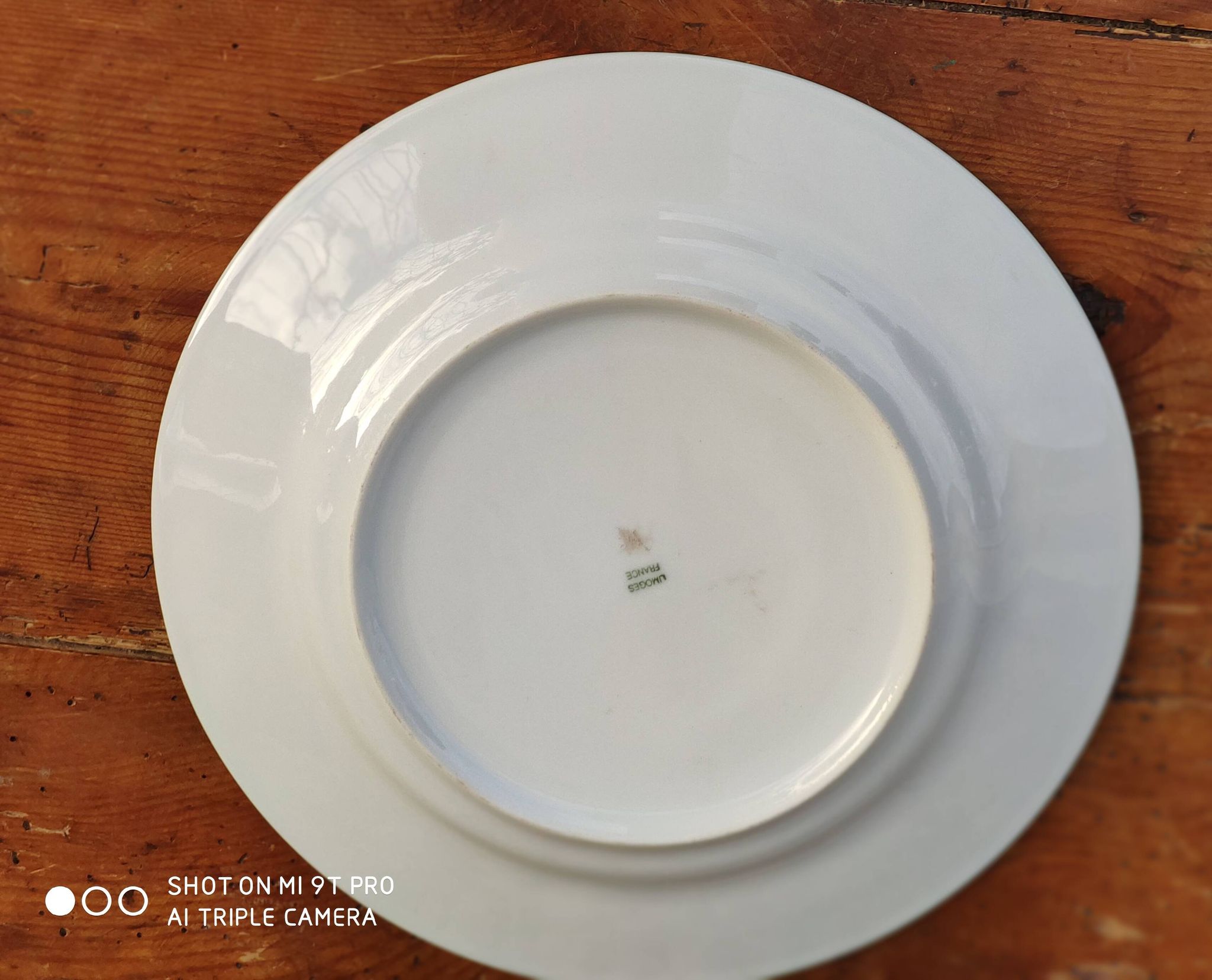 Plat en porcelaine myosotis