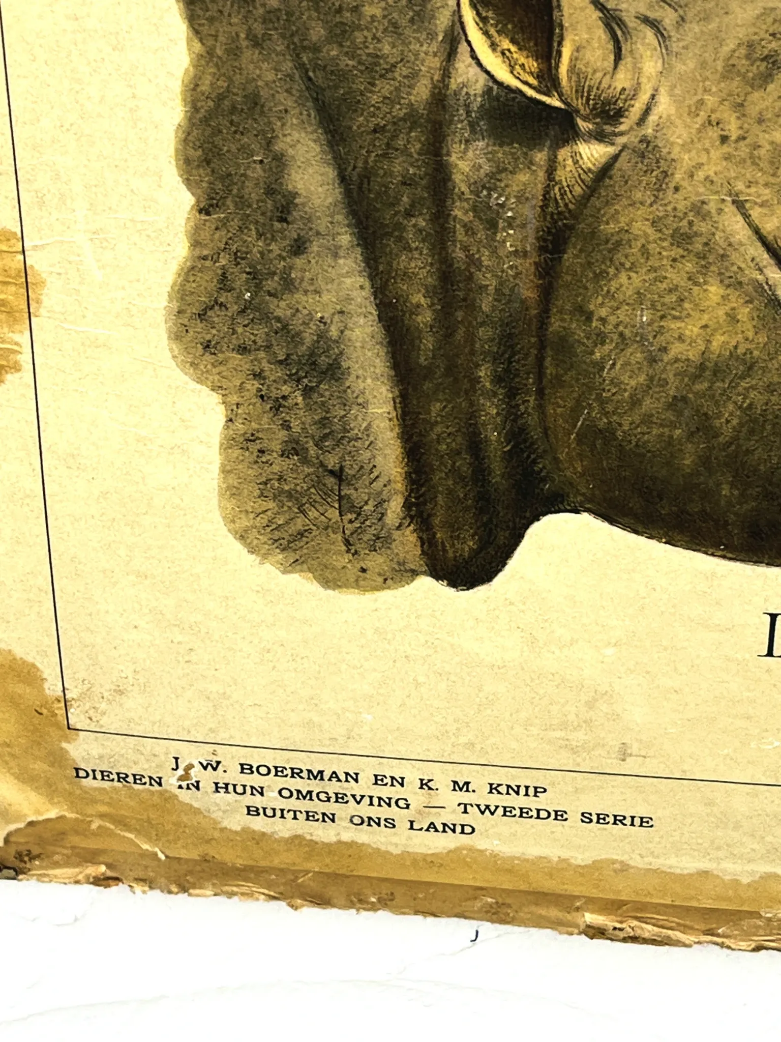 School poster J.B. Wolters