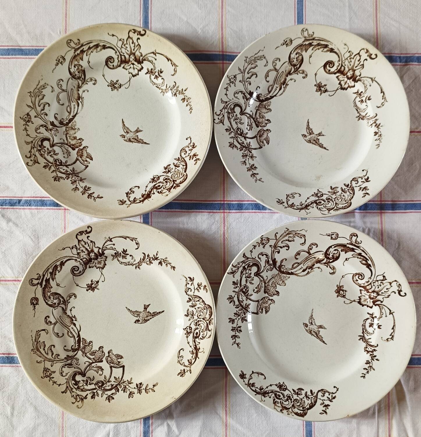 Brown bird flat plates