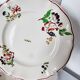 6 Assiettes Plates Terre de Fer Sarreguemines Modèle Rare de la Série Strasbourg