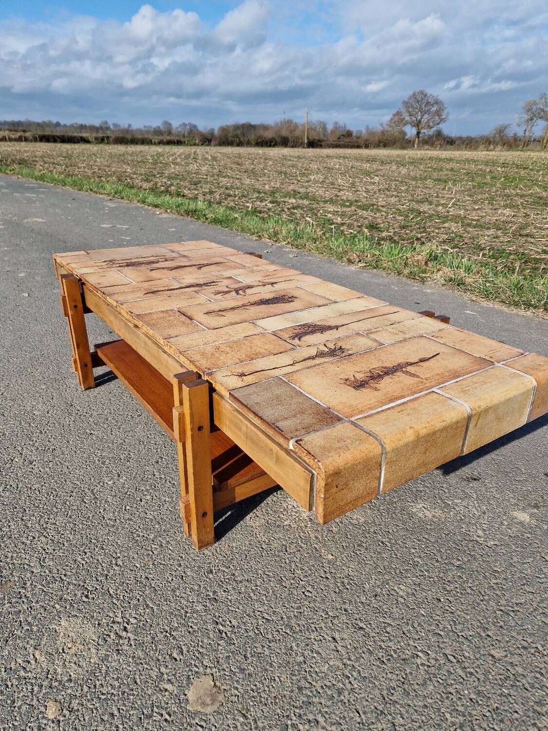 Vintage coffee table by Roger Capron, herbarium model
