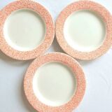 Assiettes plates vintage