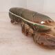 Lobster terrine