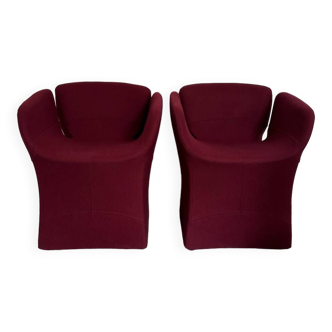 Bloomy chairs