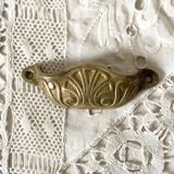 Old shell drawer handle in gilded brass