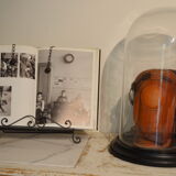 Glass bell globe