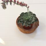 Set of 3 Wicker baskets