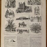 Lithograph and map on Madagascar - 1900