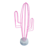 Cactus de  décoration