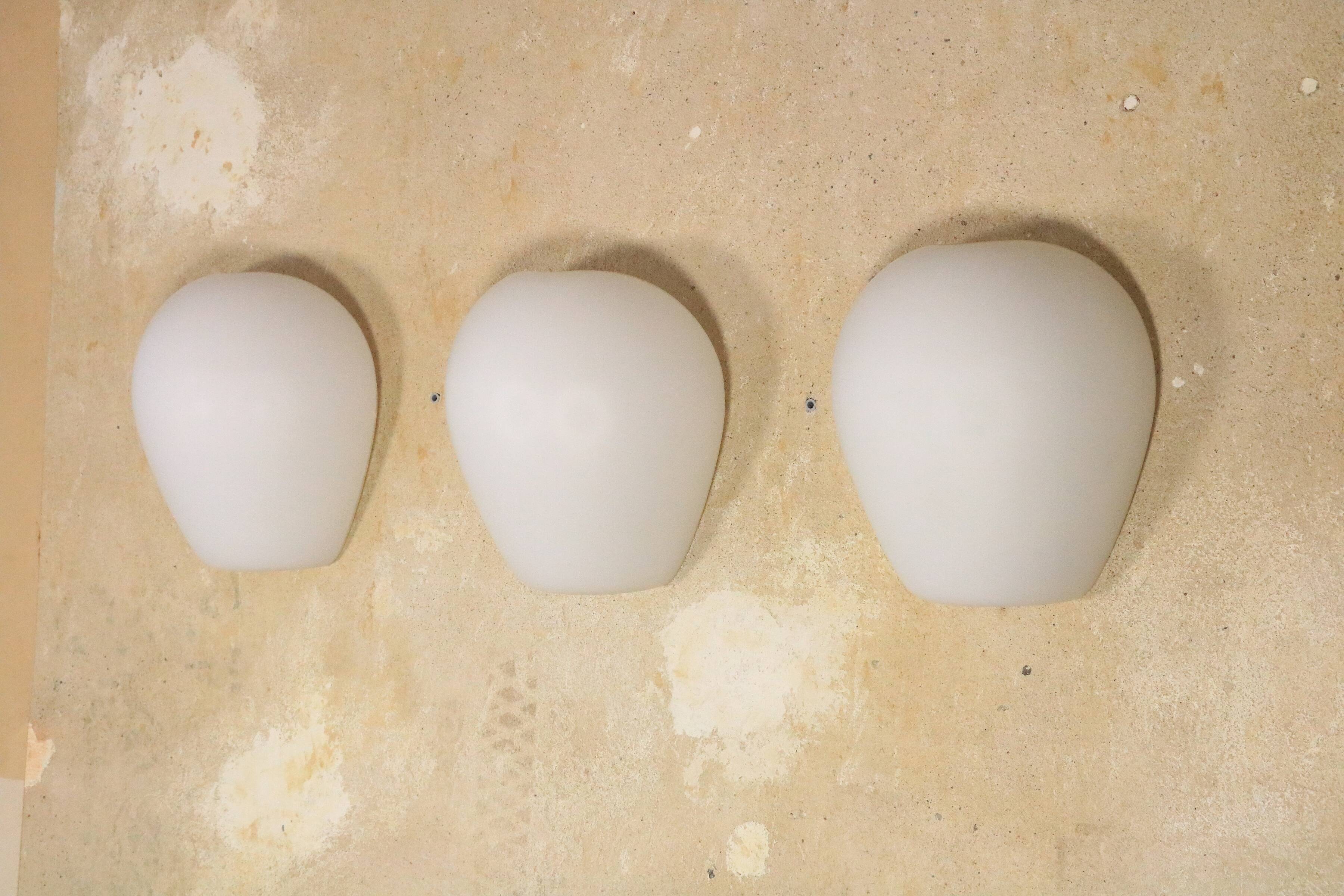 3 Wilhem Wagenfeld wall lamps, Peill & Putzler, "Muschel", 1950s