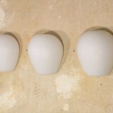 3 Wilhem Wagenfeld wall lamps, Peill & Putzler, "Muschel", 1950s