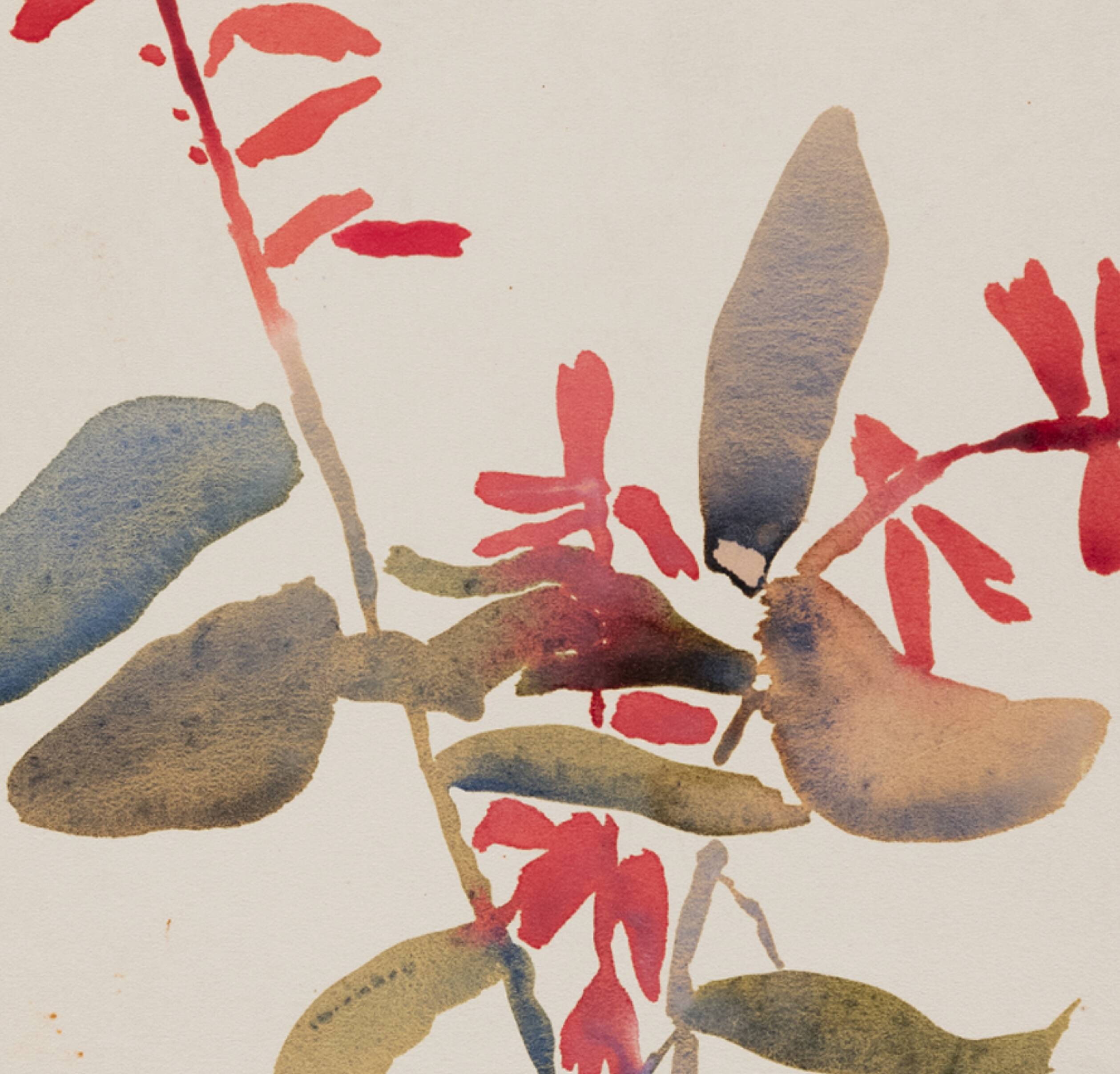 Watercolor illustration the flowers