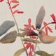 Watercolor illustration the flowers