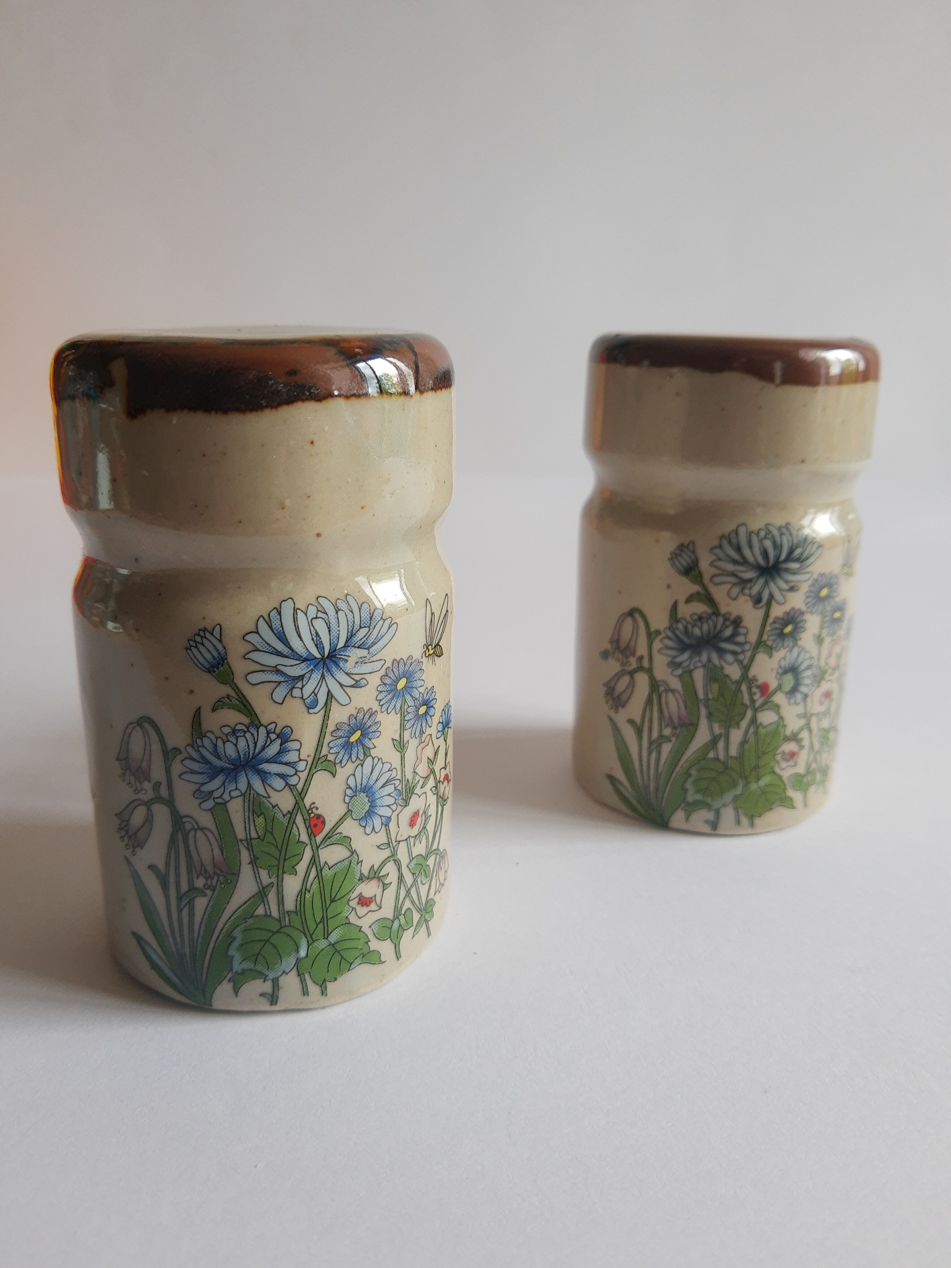 Set salière et poivrier en grès décor floral vintage