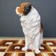 Life sized Vintage glazed terracotta St bernard dog sculpture, 1960s