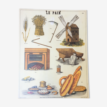 Pedagogical poster "bread" school museum of Emile Deyrolle