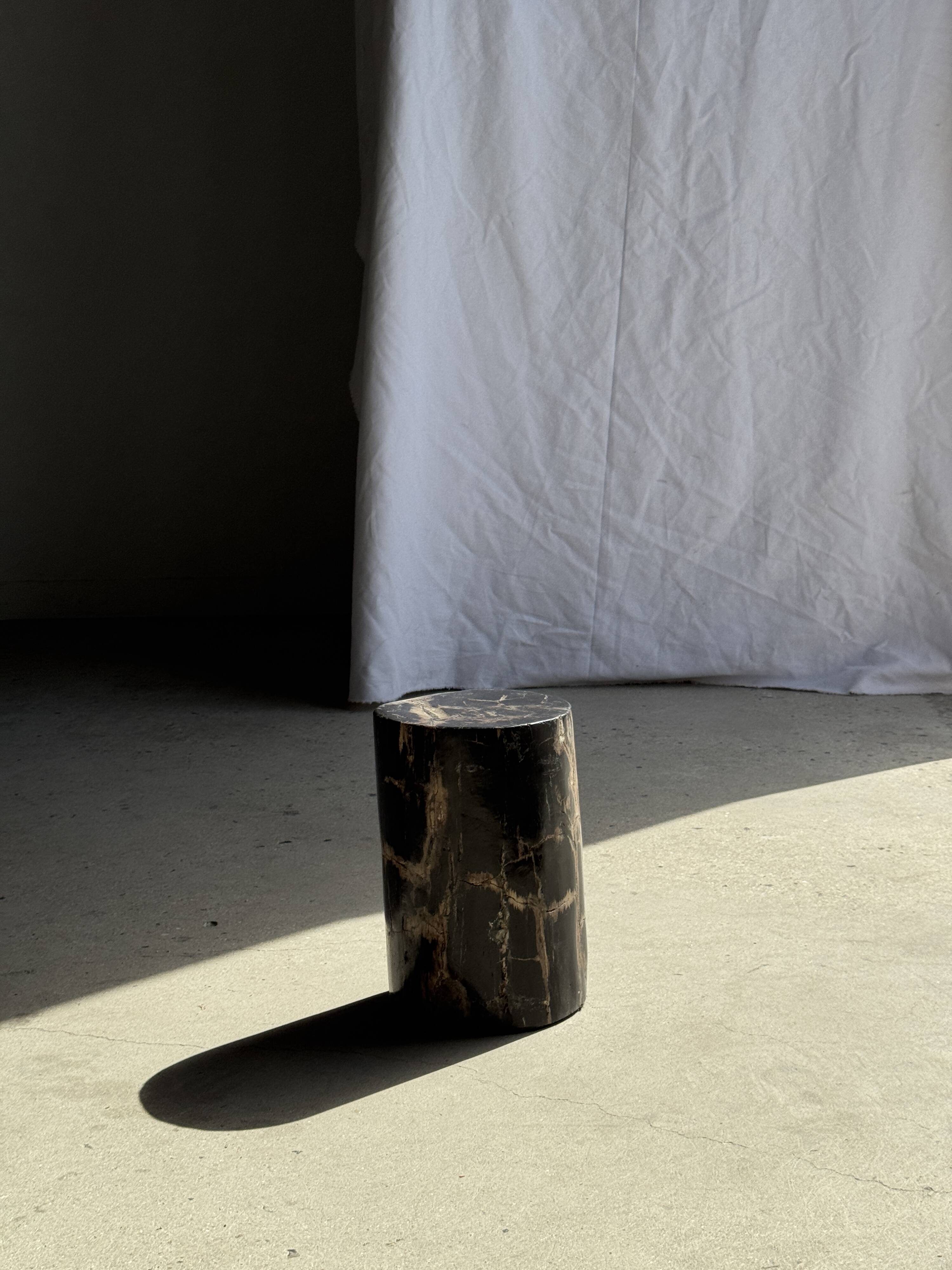 Table d'appoint en bois pétrifié noir