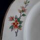 Plates