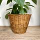 Wicker basket planter