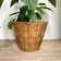 Wicker basket planter