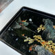 Asian lacquered wood tray