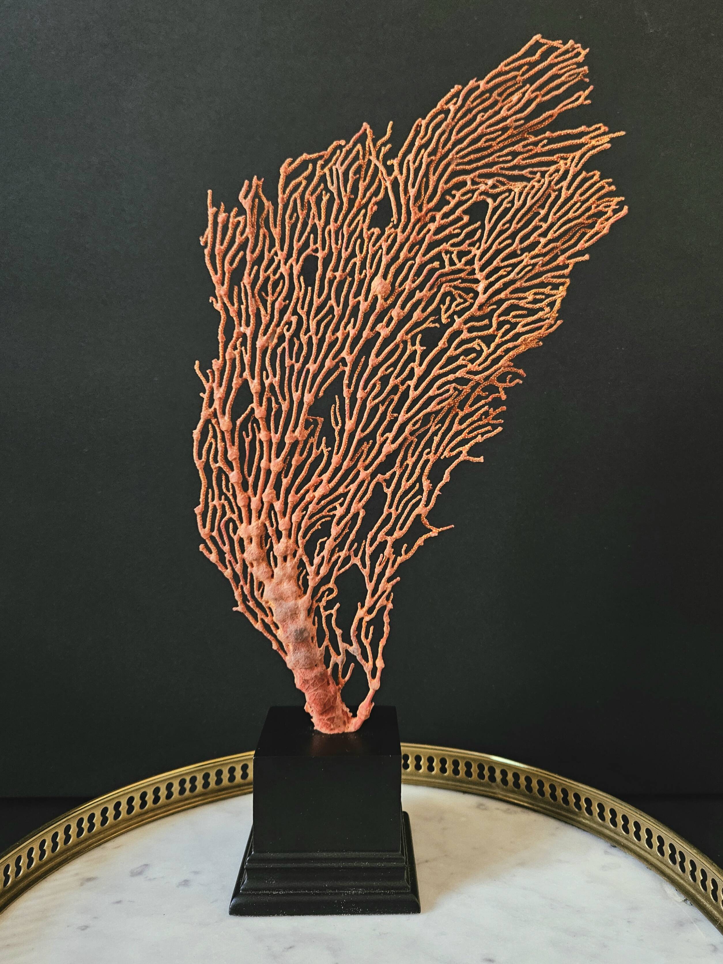 Large Red/Orange Gorgon Black wooden base. H: 36 cm