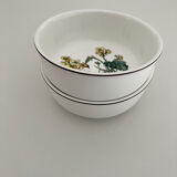 2 bowls Villeroy & Boch Botanica