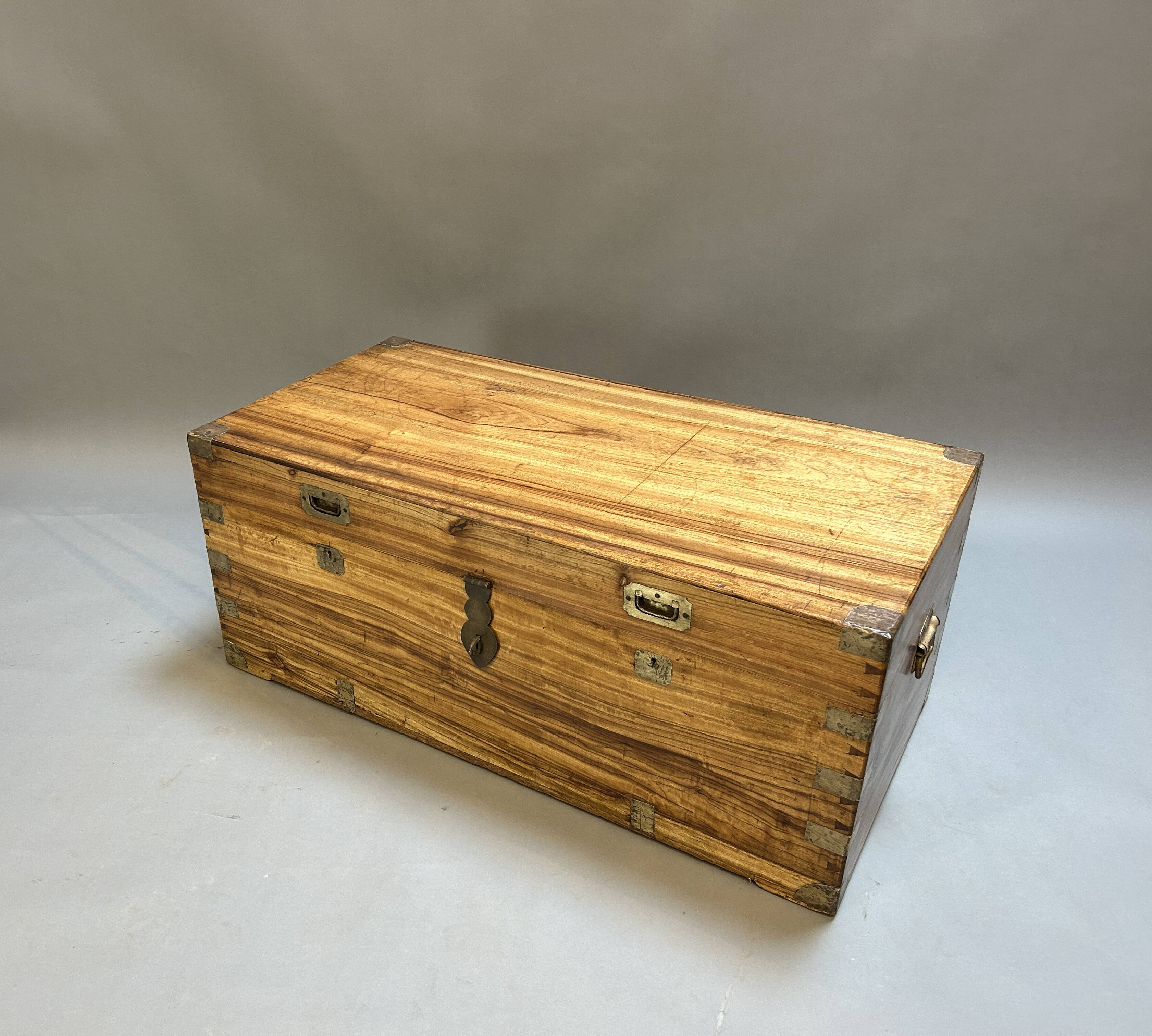 Campaign Camphor Trunk