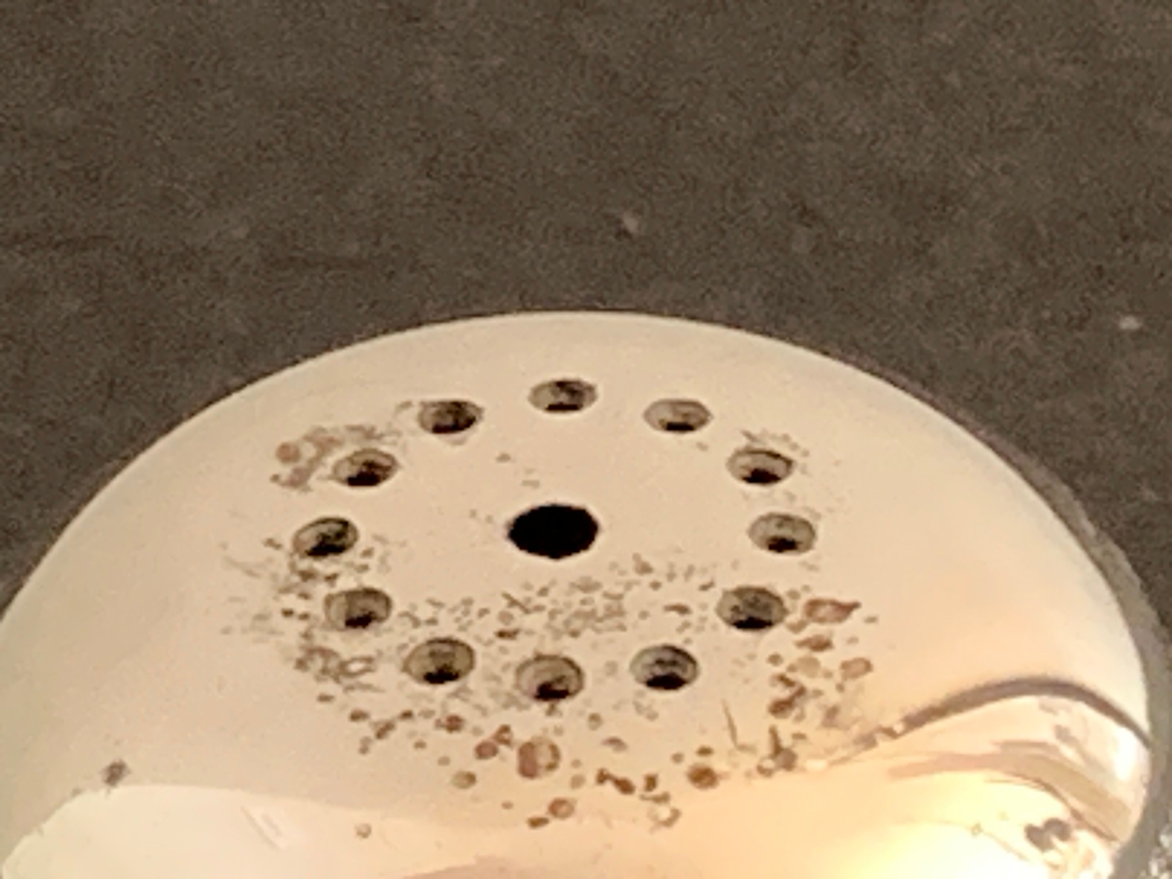 Salt and pepper mushrooms in silver metal Pavilion Christofle