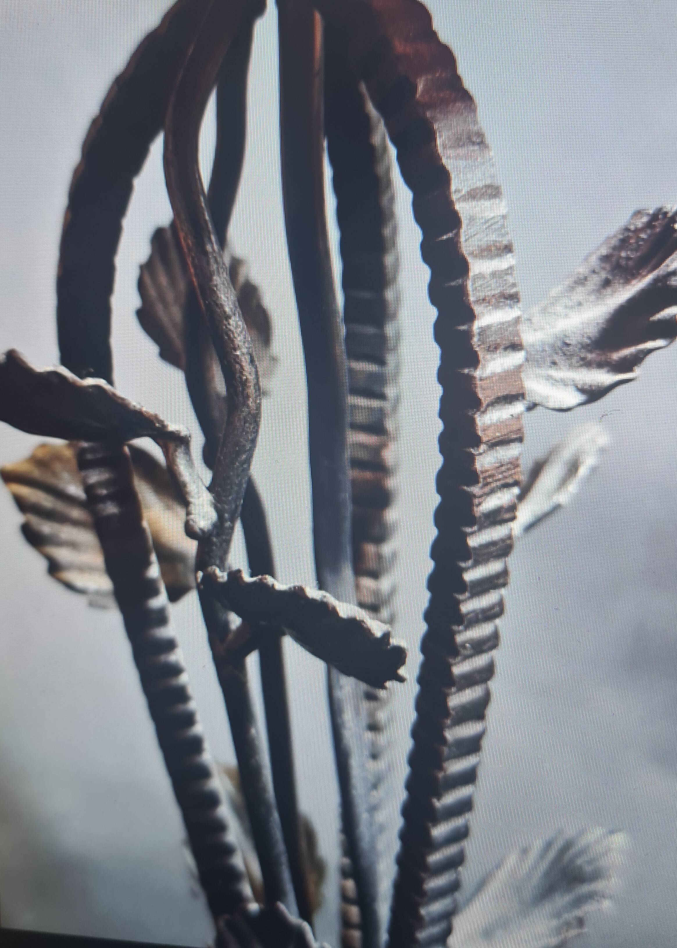 Lampe 1920/40 fer forgé